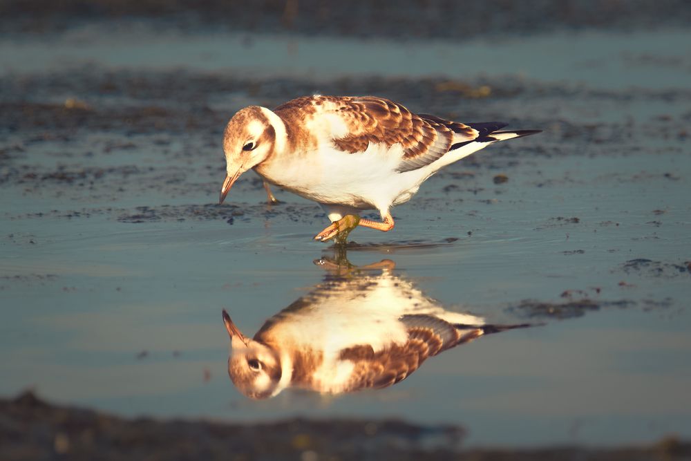 Photograph by Александр Бабашов