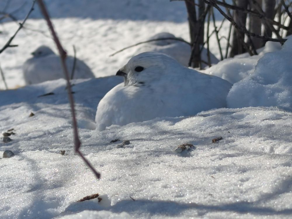 Photograph by JONATHAN VALDEZ