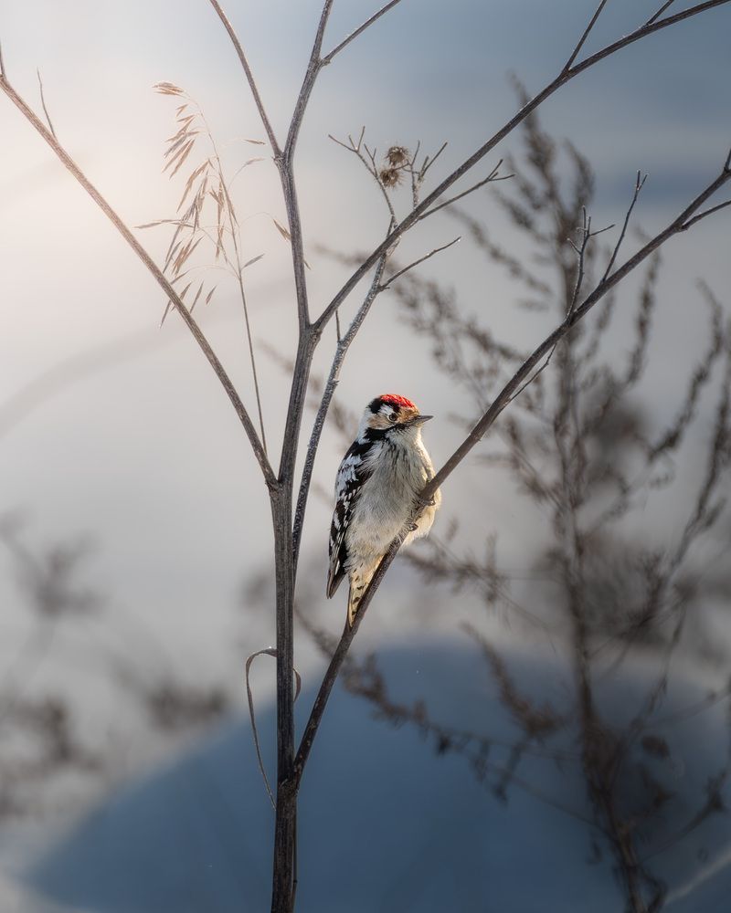 Photograph by Загруев Михаил