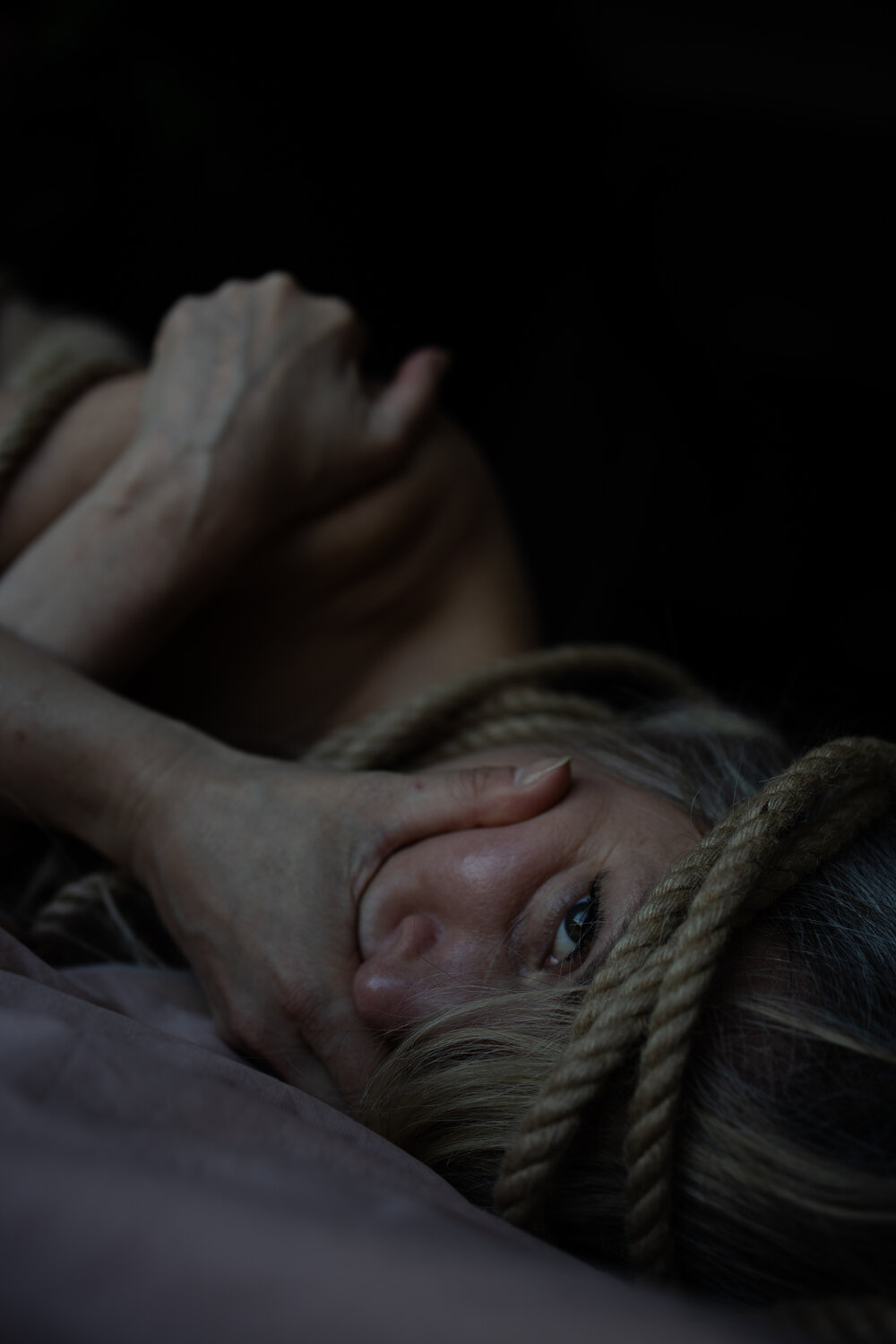 Photo #13250206