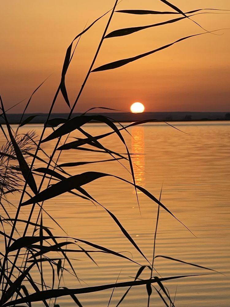 Photograph by Светлана Смук