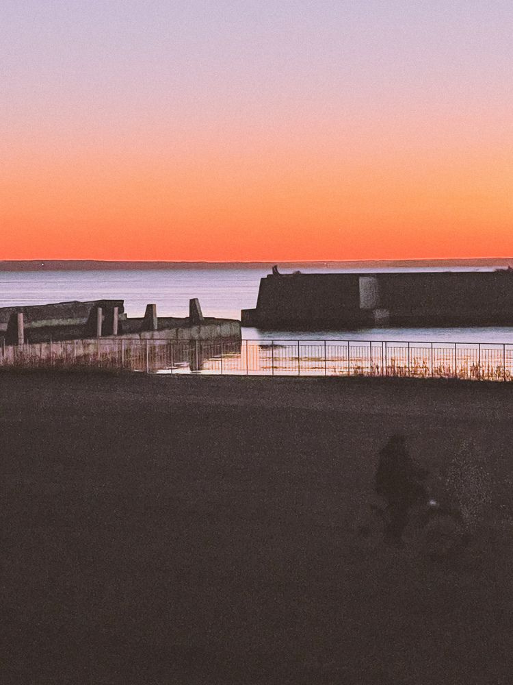 Photograph by Светлана Смук