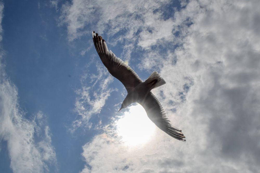 Photograph by Алла Киржинова