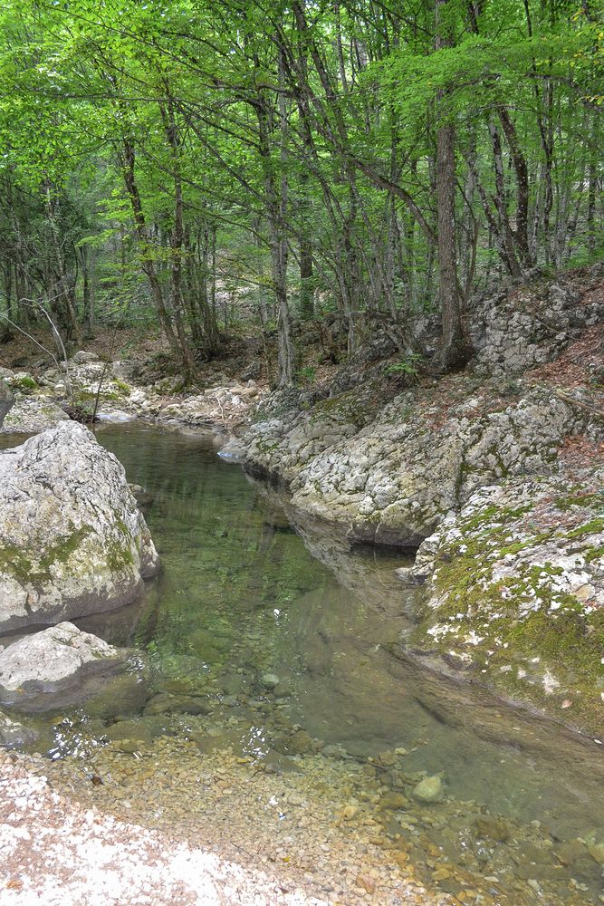 Photograph by Алла Киржинова