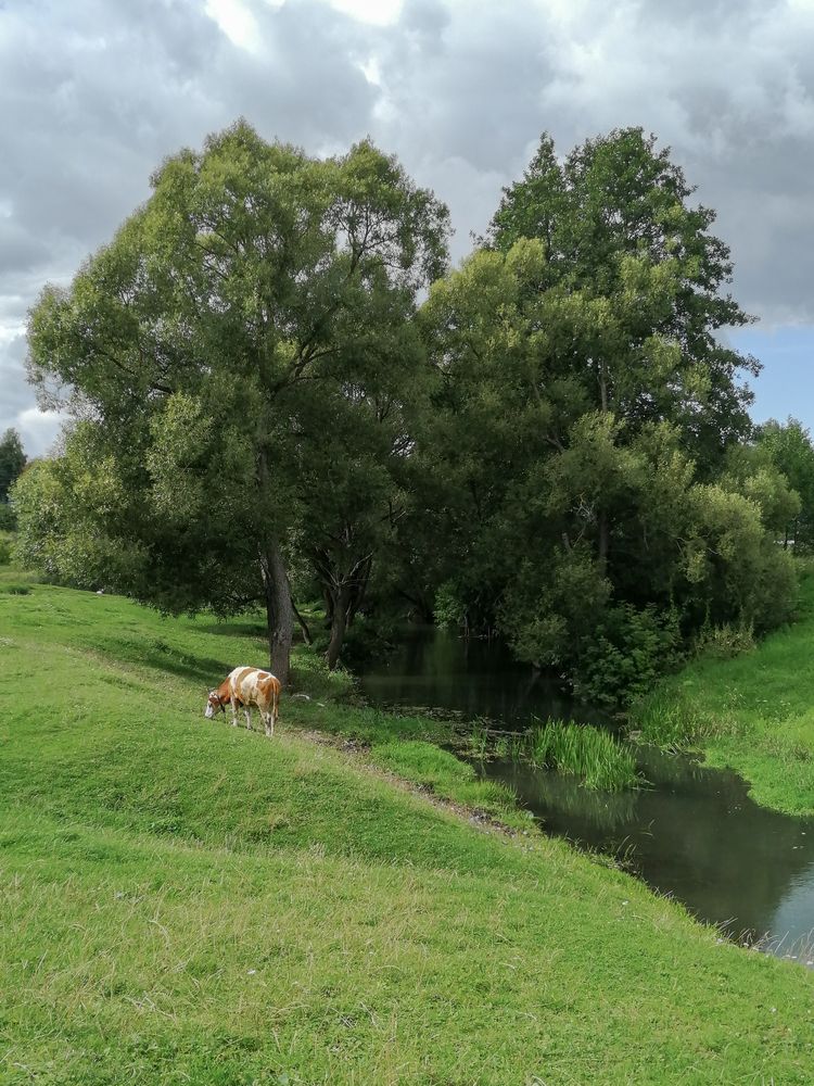 Photograph by Алла Киржинова