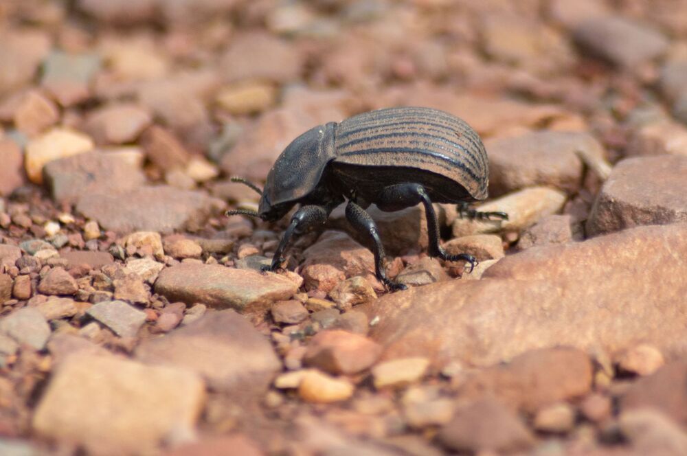 Photograph by Mark Robert Fruhauf