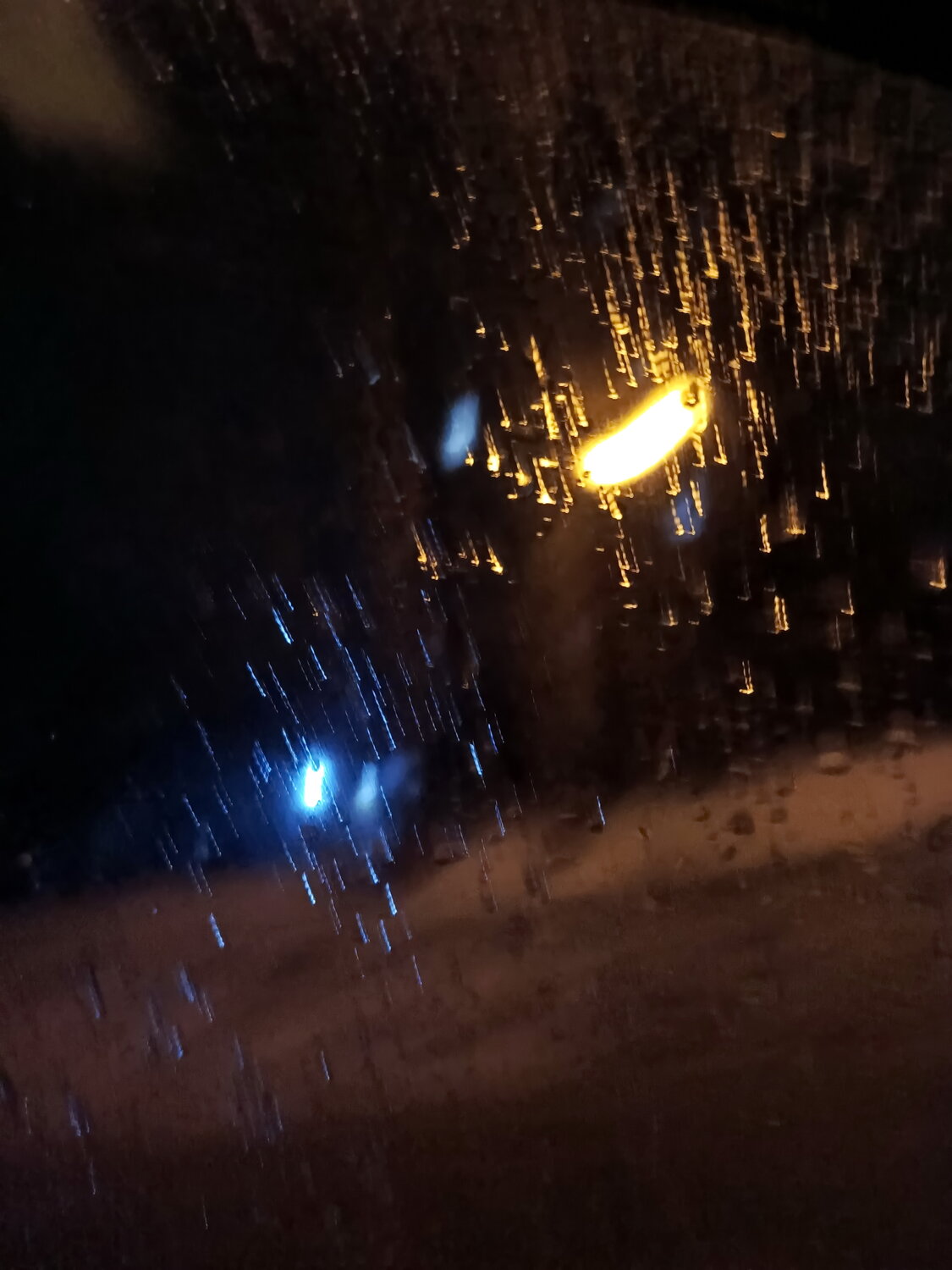 Photo #13250281