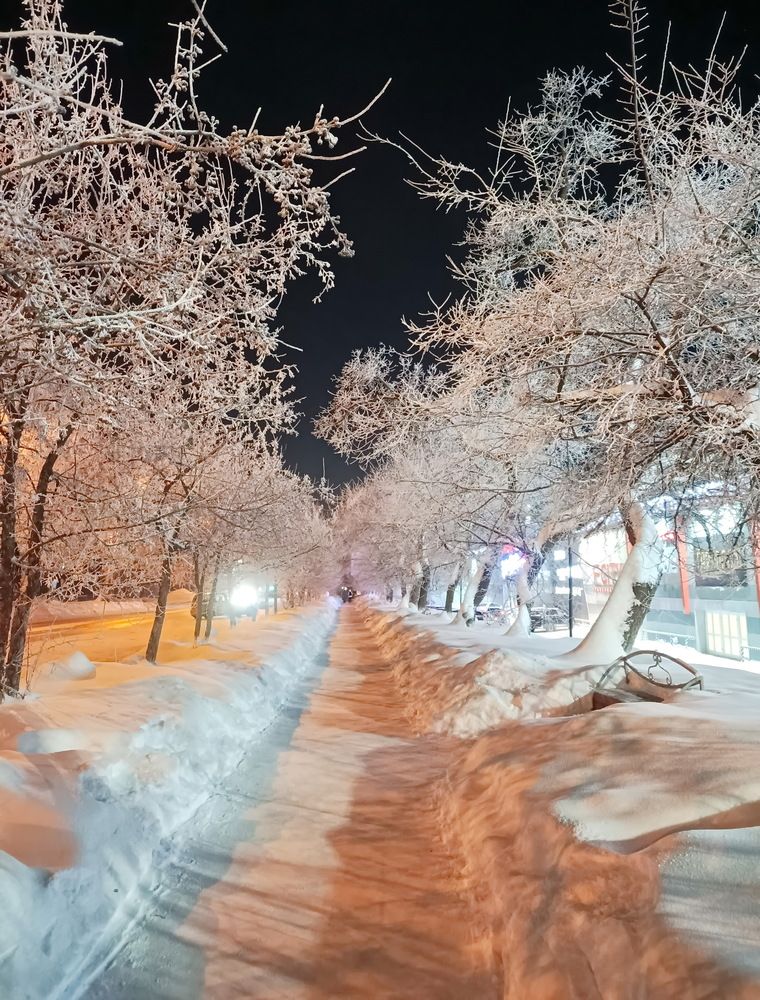 Photograph by НИНА АВЕРЬЯНОВА