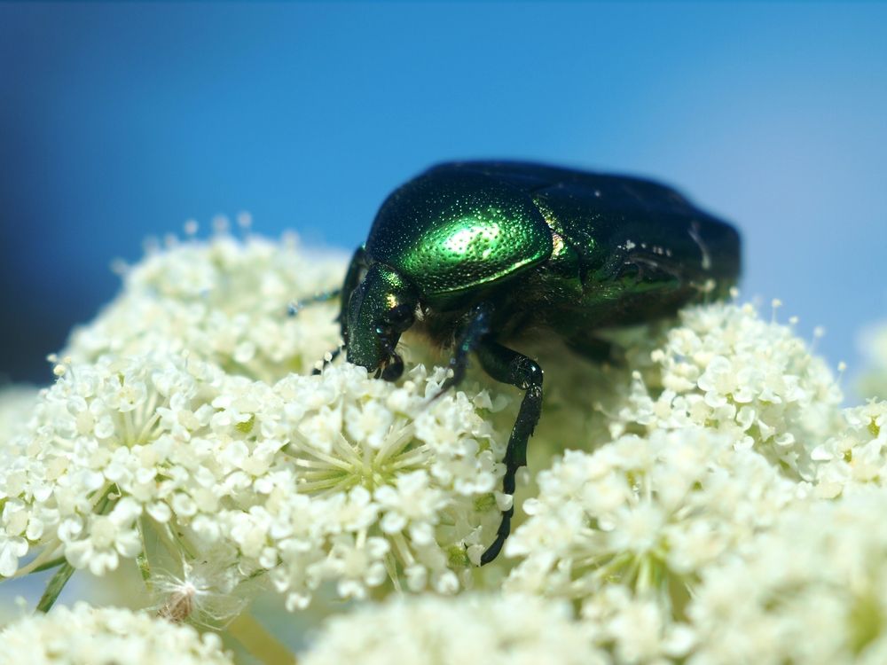 Photograph by Дмитрий Васючков