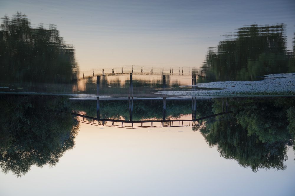 Фотография автора Дарья Юсарева