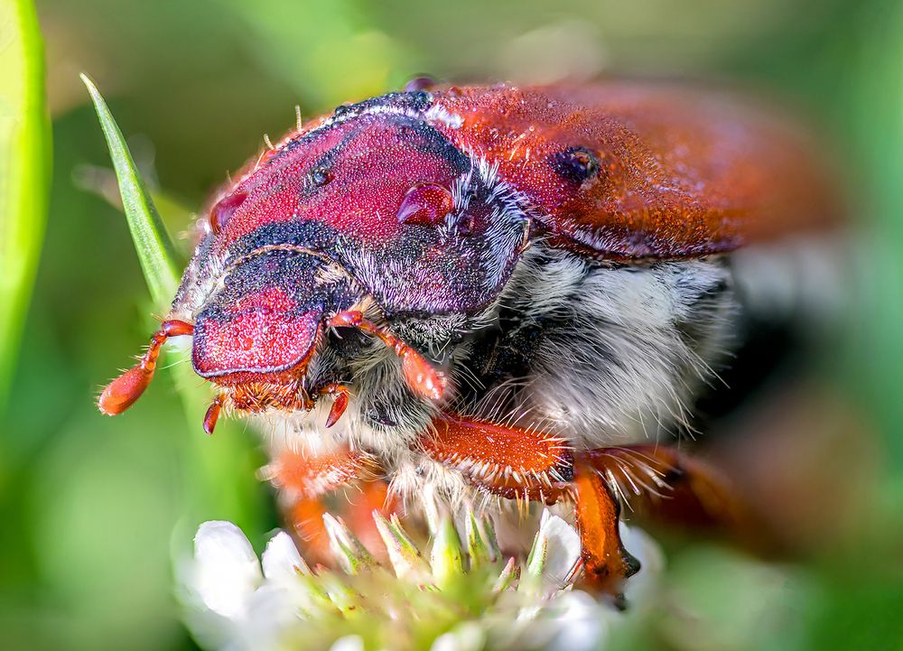 Photograph by Андрей Гринев