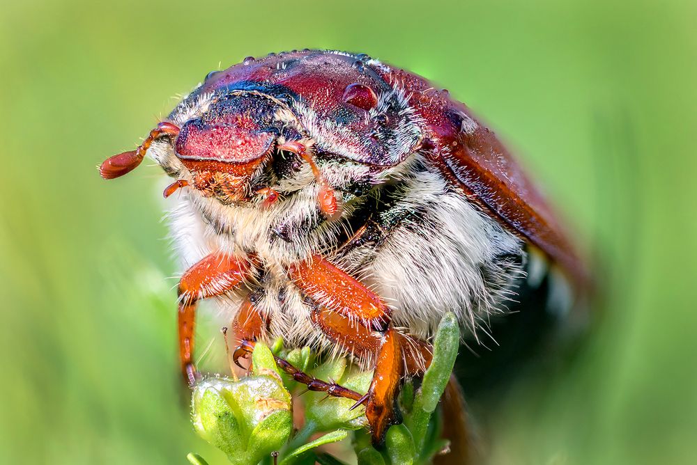 Photograph by Андрей Гринев