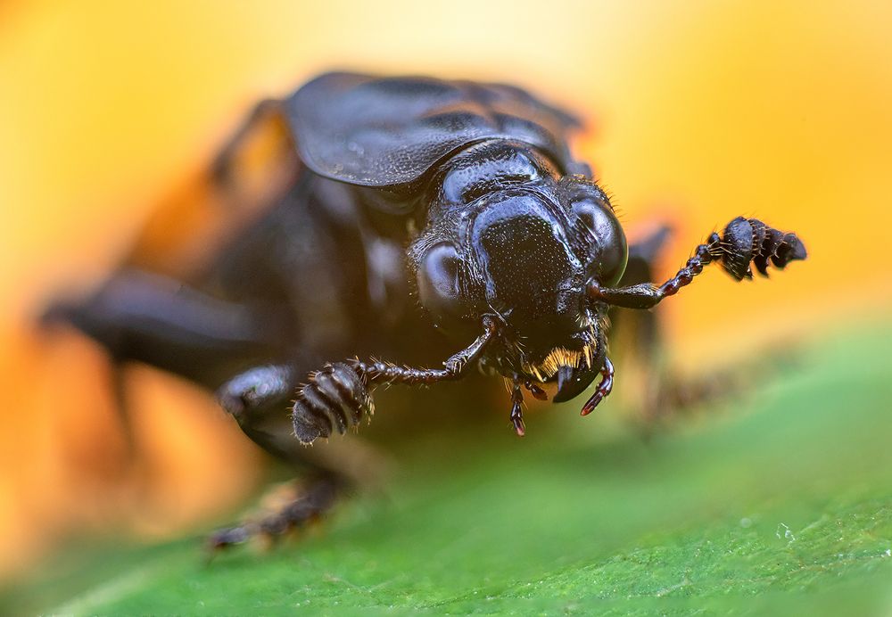 Photograph by Андрей Гринев