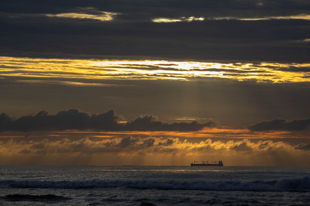 Photograph by Carol Conde