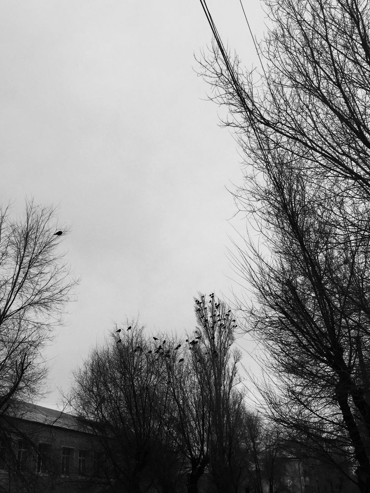 Photograph by natalisina