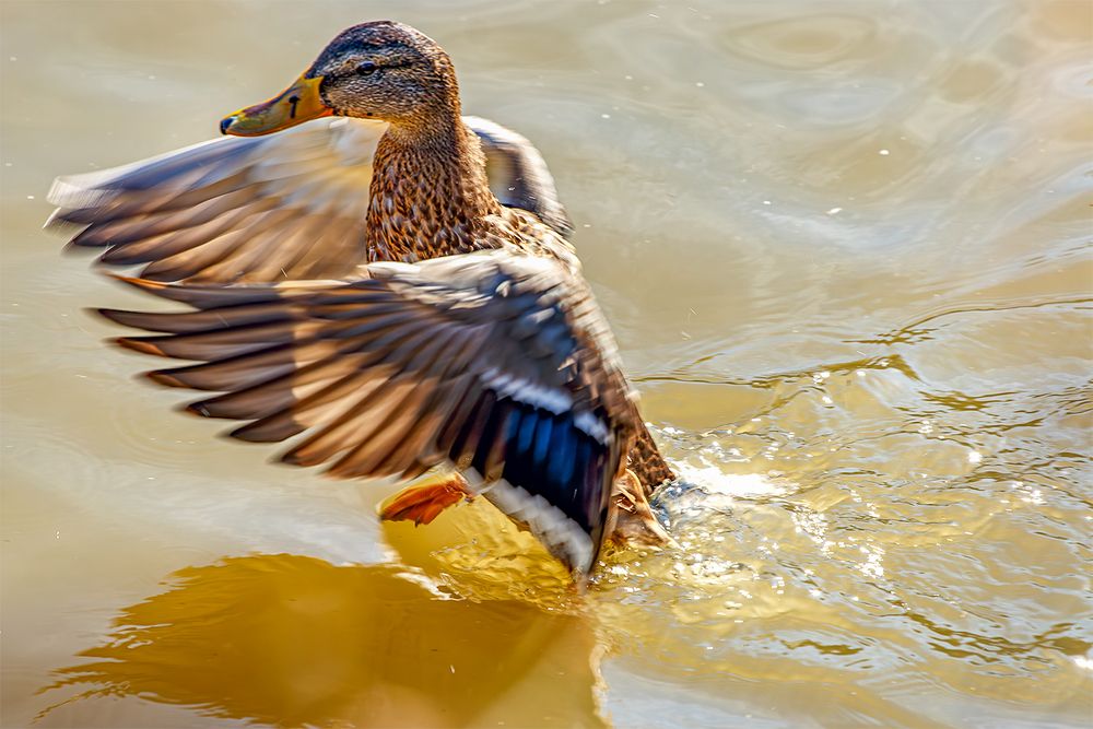 Photograph by Надежда Хрусталёва