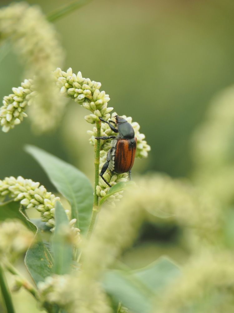 Photograph by Светлана Шибаршина