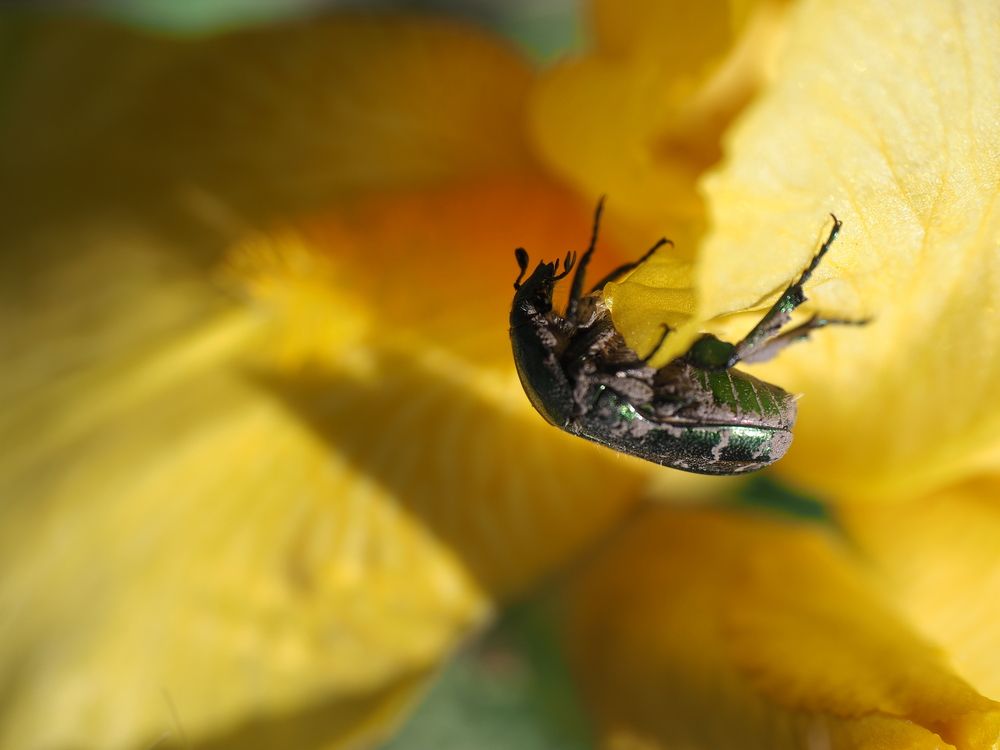 Photograph by Светлана Шибаршина