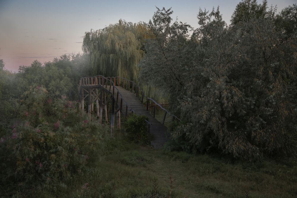 Фотография автора Дарья Юсарева