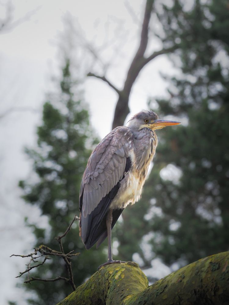 Photograph by Александра Шилова