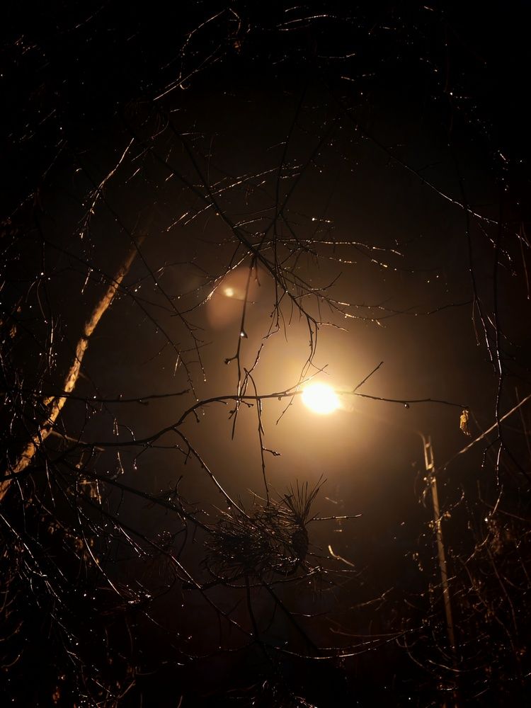 Photo #13250551