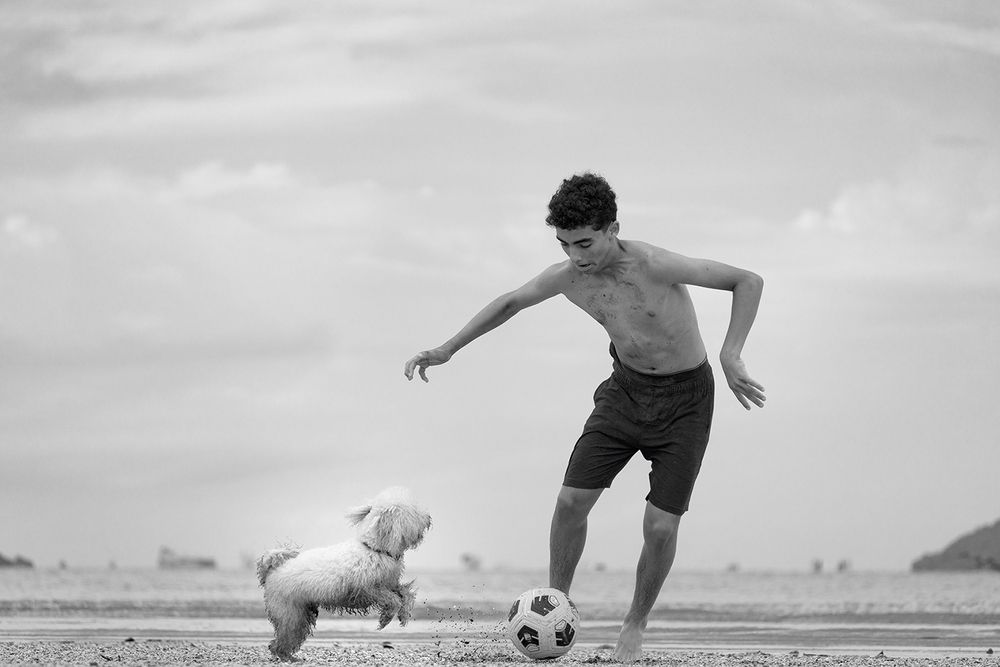 Photo #13250575