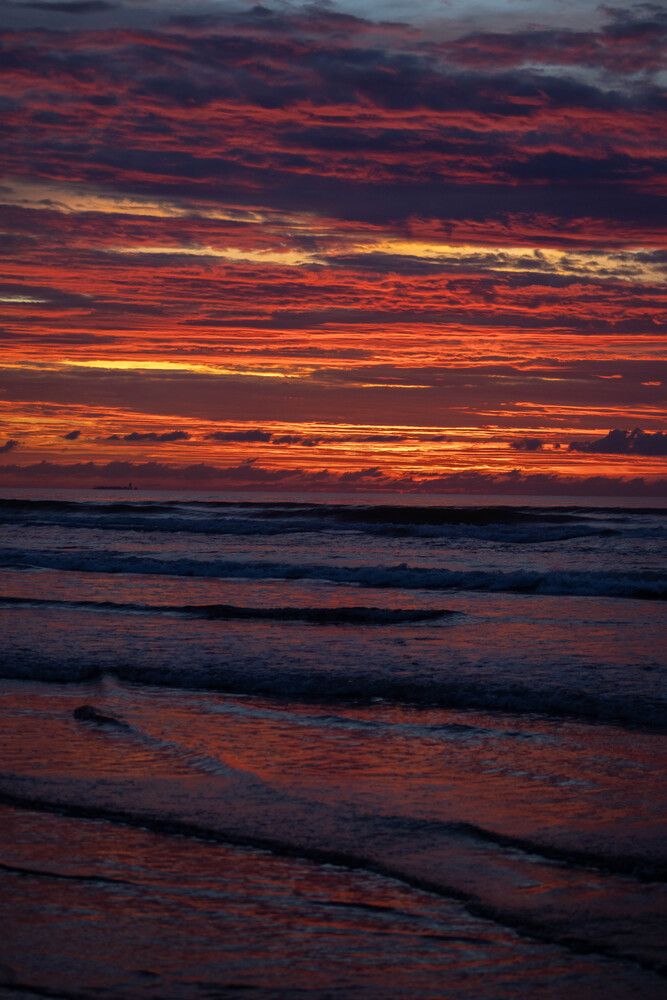 Photograph by Carol Conde