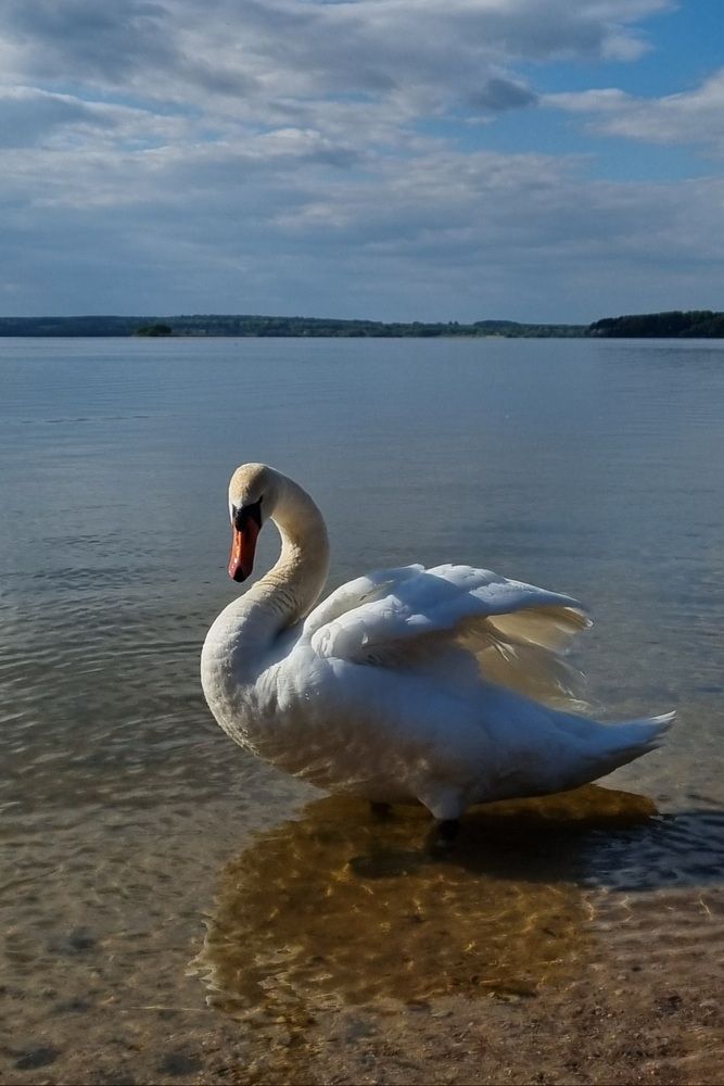 Photograph by Елена
