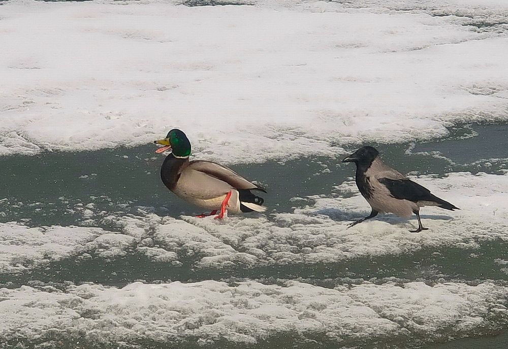 Photograph by Нина