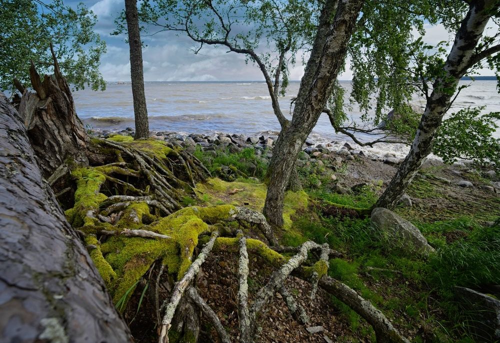 Photograph by Vladimir Chudopalov