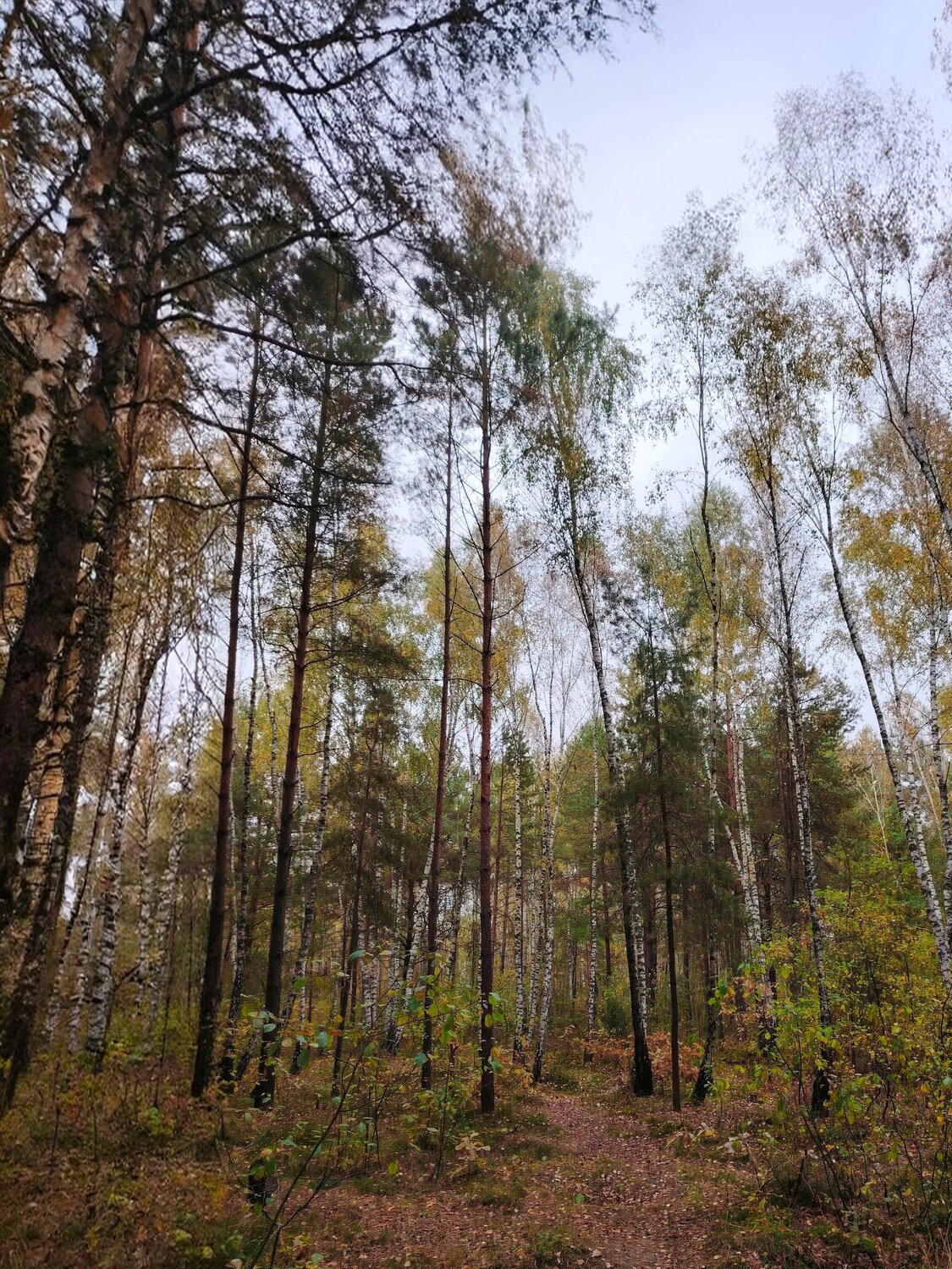 Photo #13250770