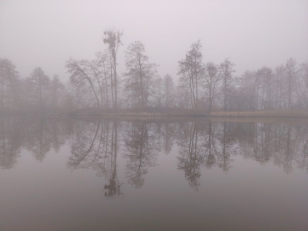 Photograph by Ratsam