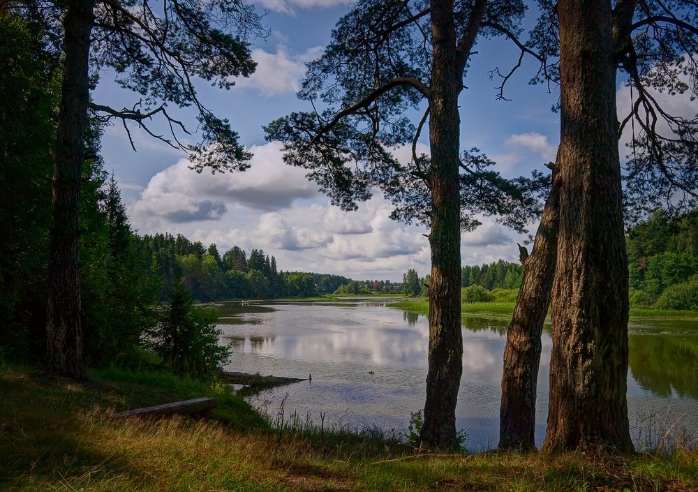 Летний день