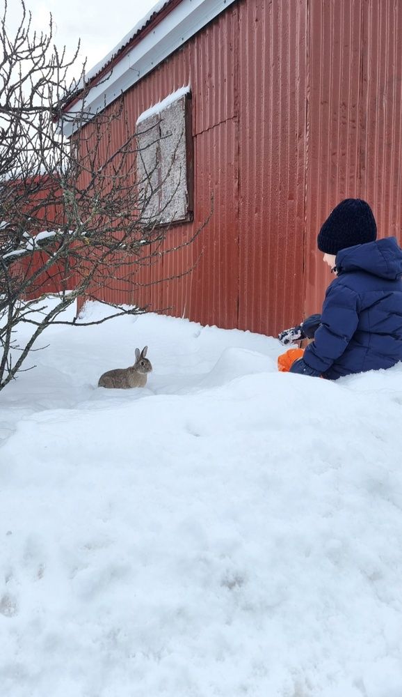 Photograph by Desislava Ivanova