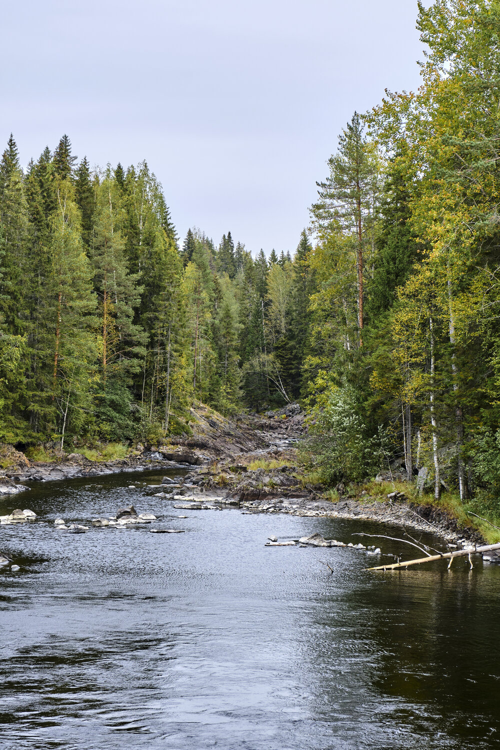 Photo #13250808