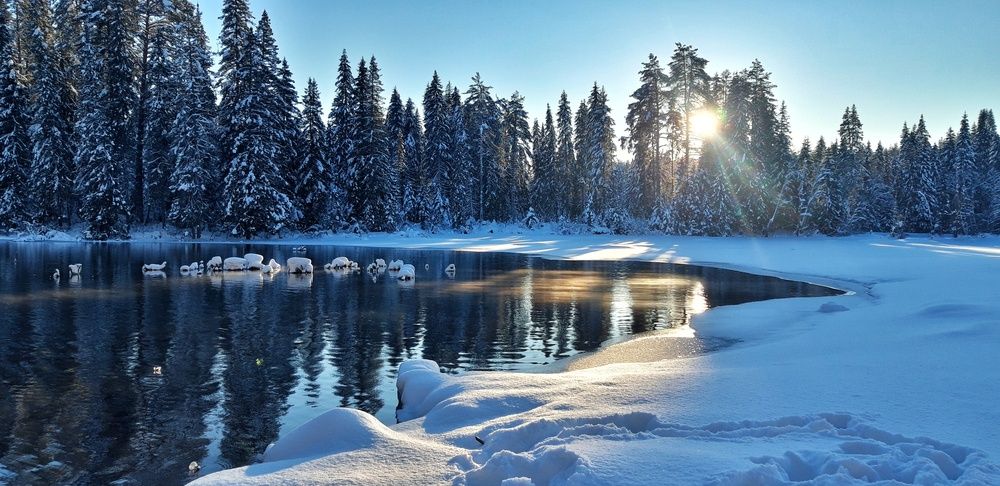Photograph by Tatyana Busorgina