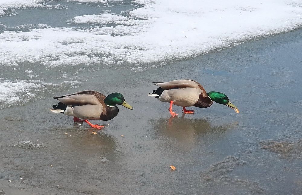 Photograph by Нина