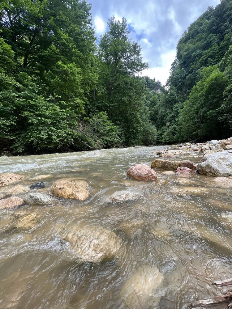 Фотография автора Алёна Маринина