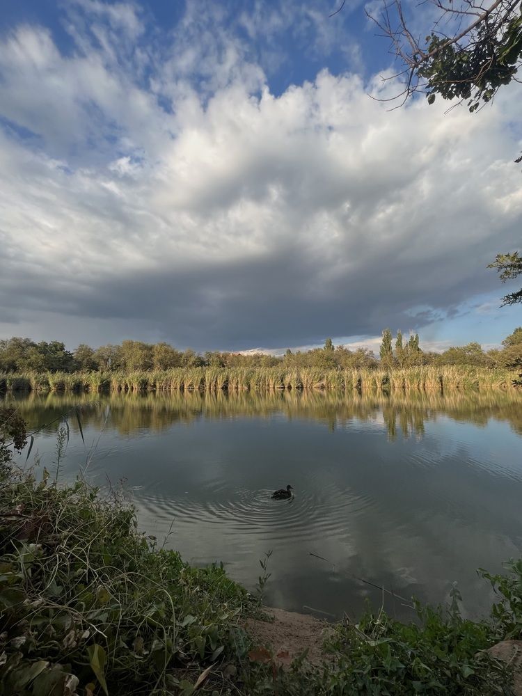 Фотография автора Алёна Маринина