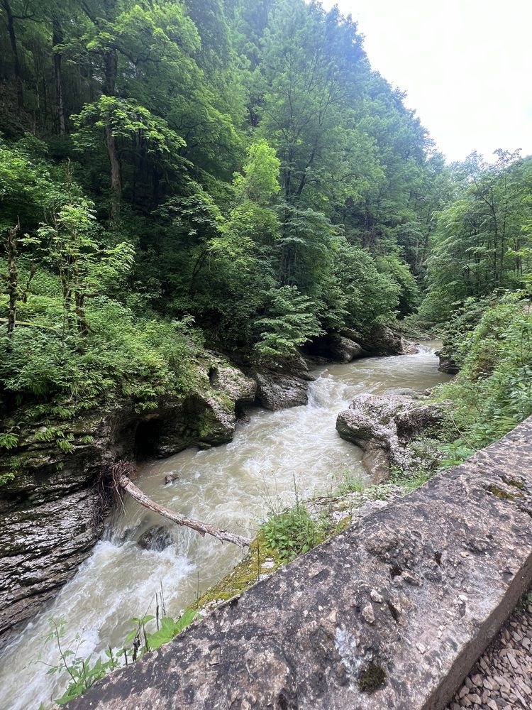 Фотография автора Алёна Маринина