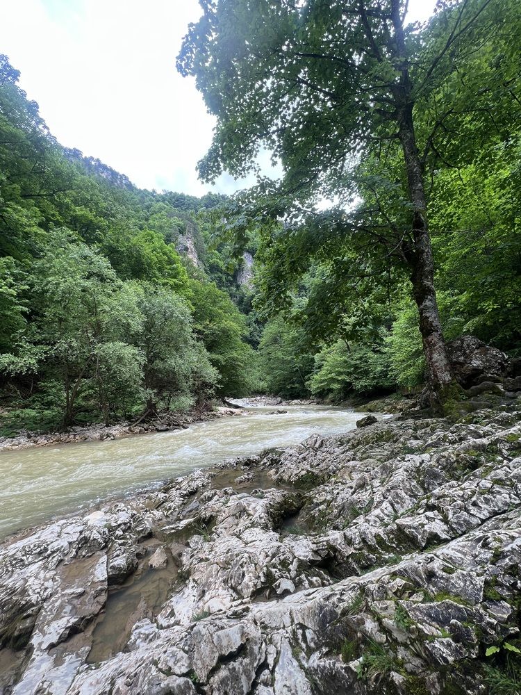 Фотография автора Алёна Маринина