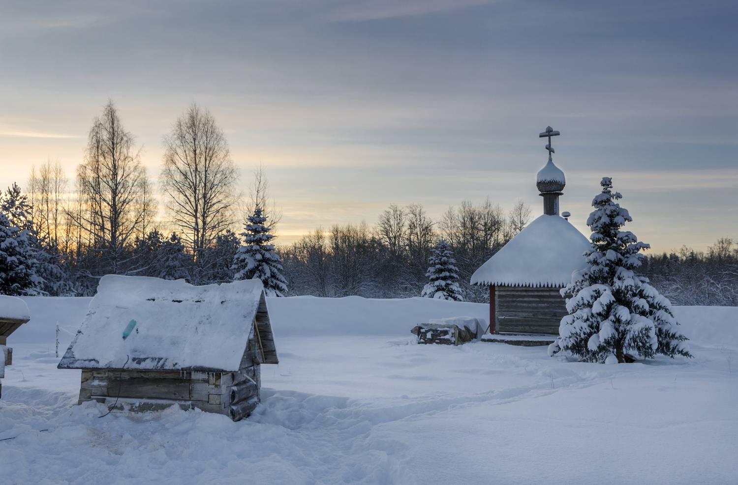 Фотография #13250915