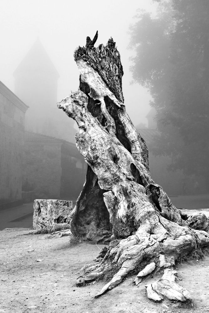 Photograph by Гагик Мхитарян