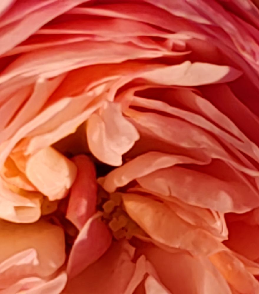 Photograph by Алёна С-К