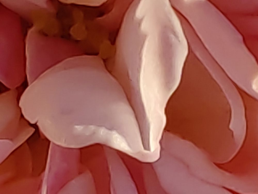 Photograph by Алёна С-К