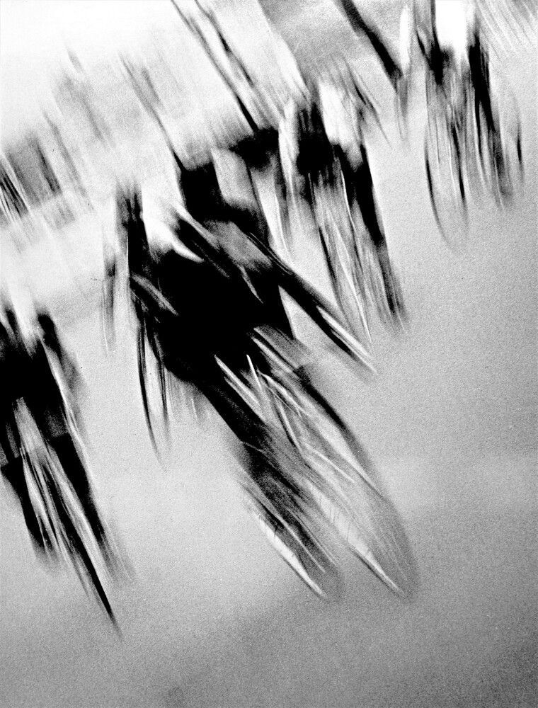Photograph by Jose Manuel Maiquez