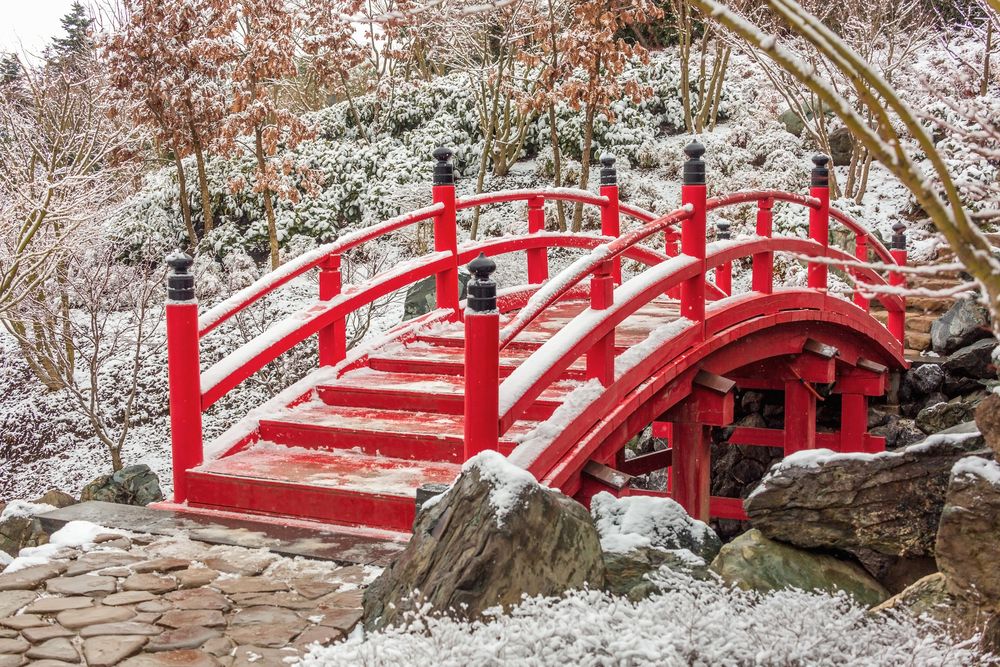 Фотография автора Галина Шепелева