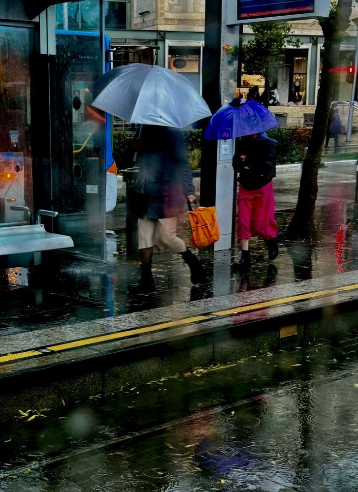 Photograph by Алла Киселева