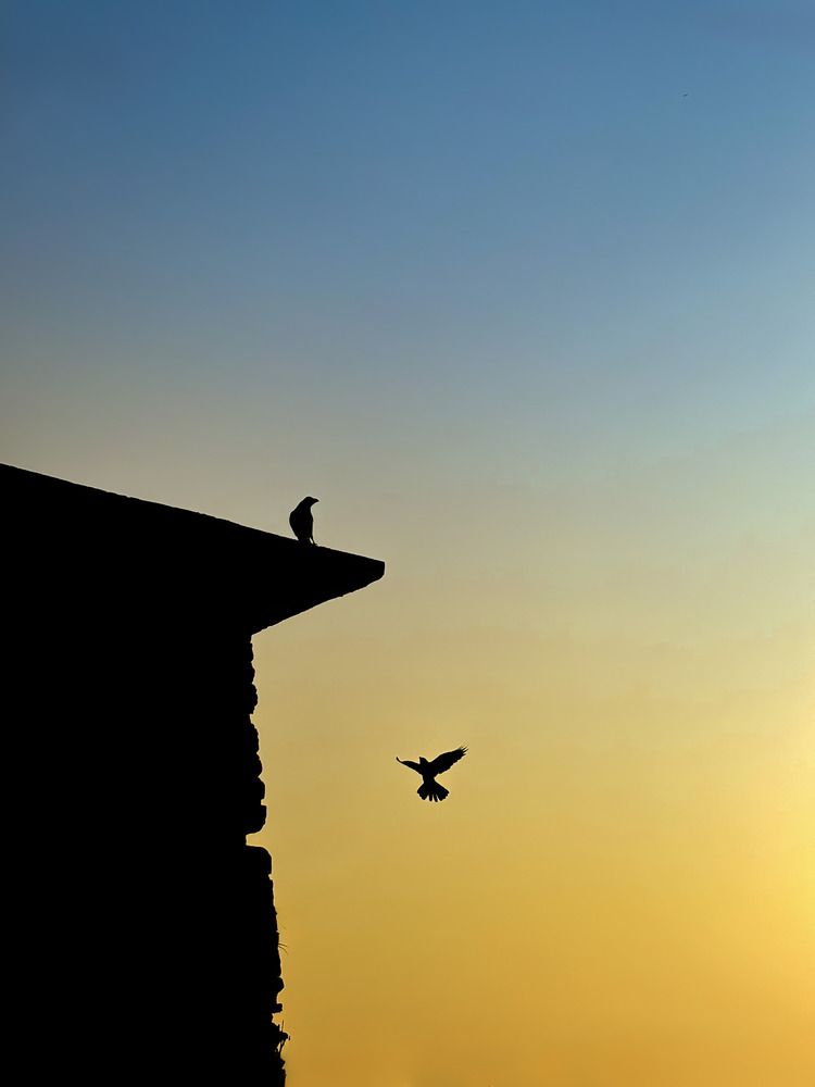 Photograph by Waruna Dulmina