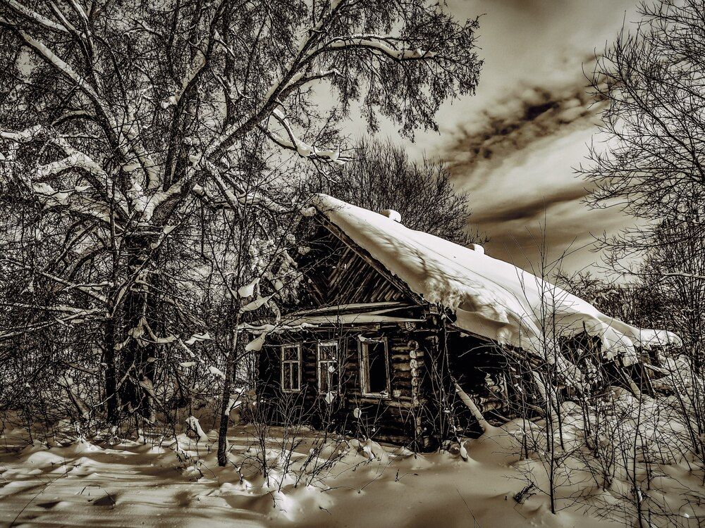 Photograph by Алёна Пшеленская